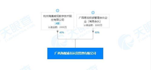 海康威視入局城市管理 投資成立新公司，聚焦安全監控與系統集成服務